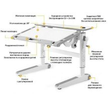 Детская парта  Mealux Ergowood - M Multicolor TG Energy